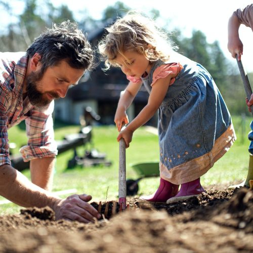 Father with small children working outdoors in garden, sustainable lifestyle concept