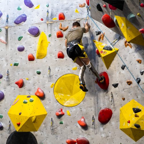 The climber trains on the artificial rock wall with insurance in bouldering gym