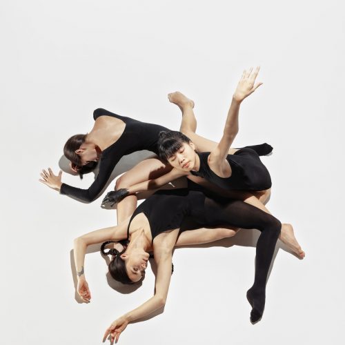 The group of modern dancers, art contemp dance, black and white, combination of emotions